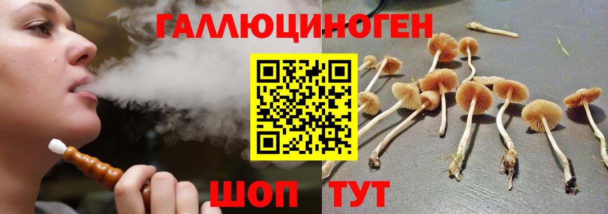 Надым  Псилоцибиновые грибы Magic Shrooms  Вход с VPN 